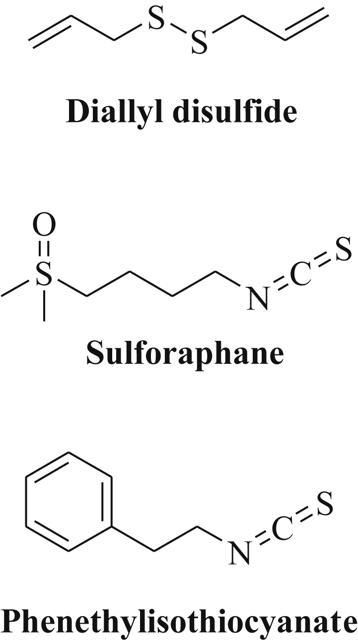 Fig. 6