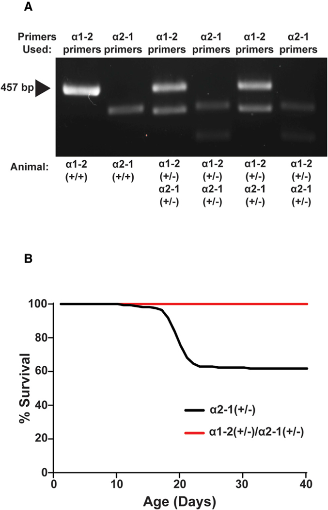 Figure 7.