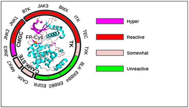 graphic file with name nihms-1772347-f0001.jpg