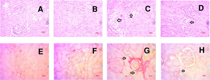 Fig. 9