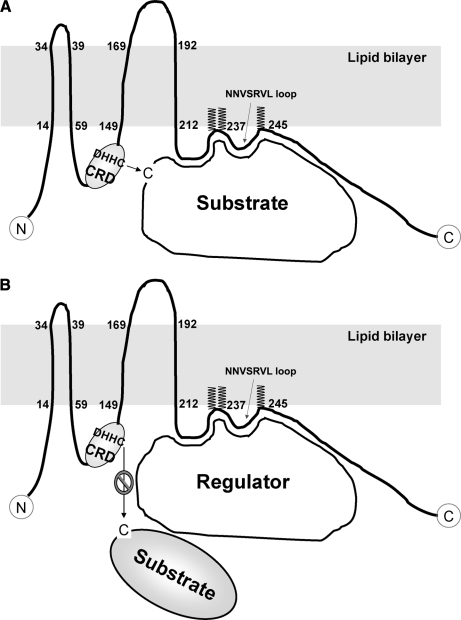 Fig. 11.