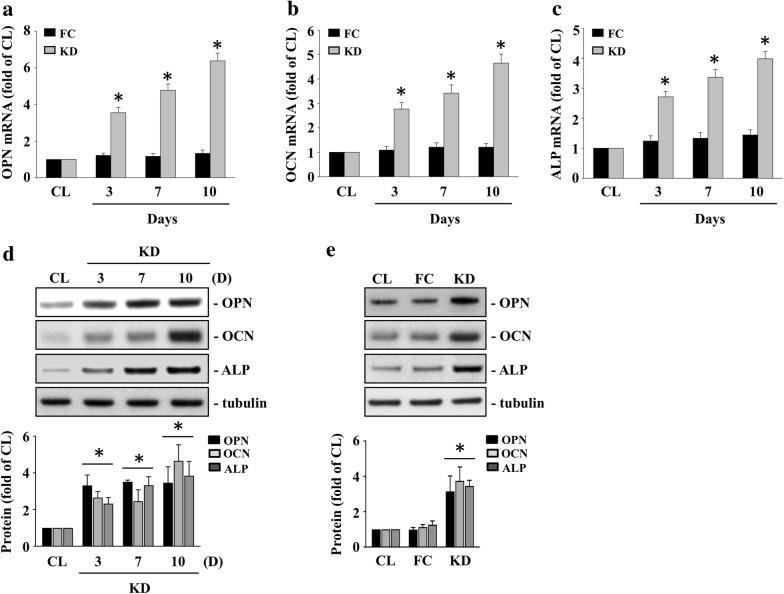 Fig. 2