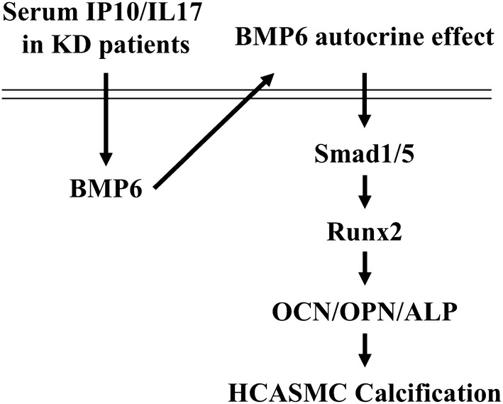 Fig. 7