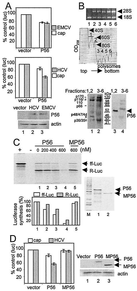 FIG. 6.