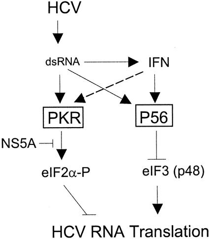 FIG. 7.