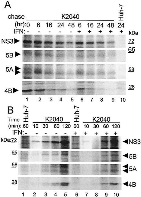 FIG. 3.