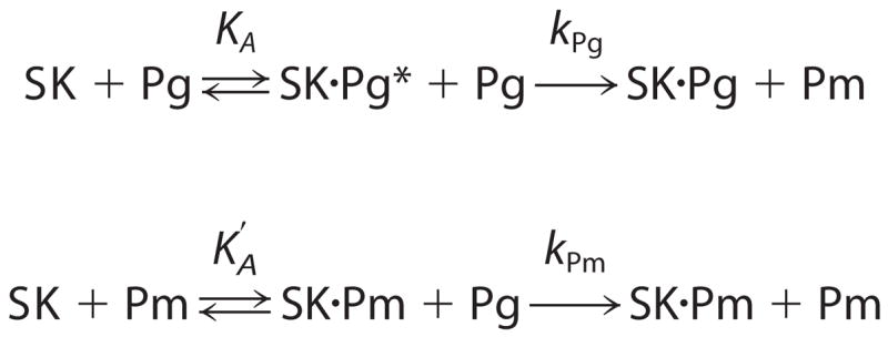 SCHEME 1