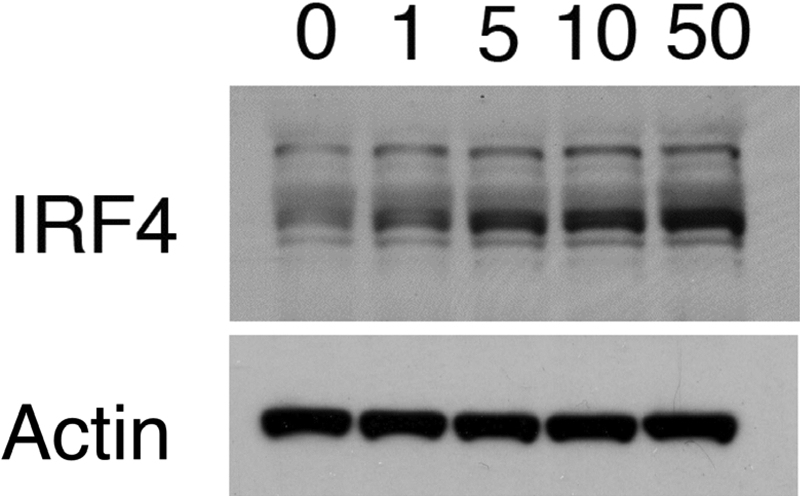 Fig. 5.