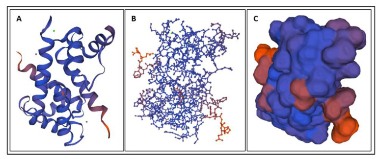 Figure 7