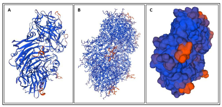 Figure 10