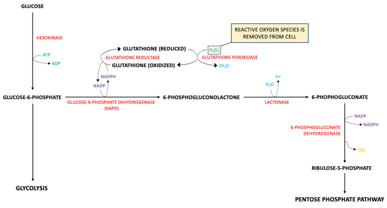 Figure 38