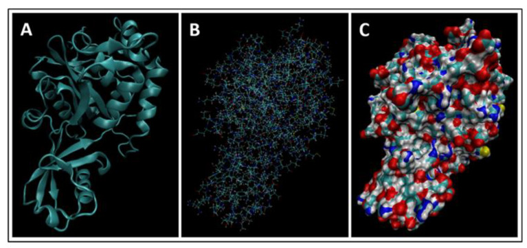 Figure 20