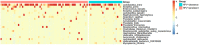 Figure 11