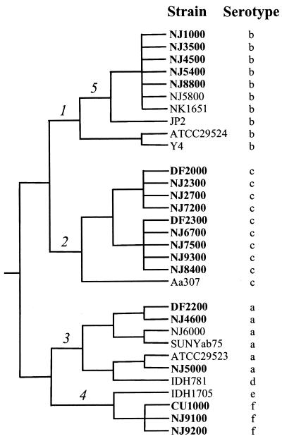 FIG. 3.