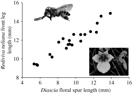 Figure 3.