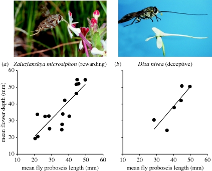 Figure 4.