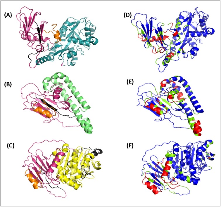 Fig 6