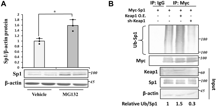 Figure 5