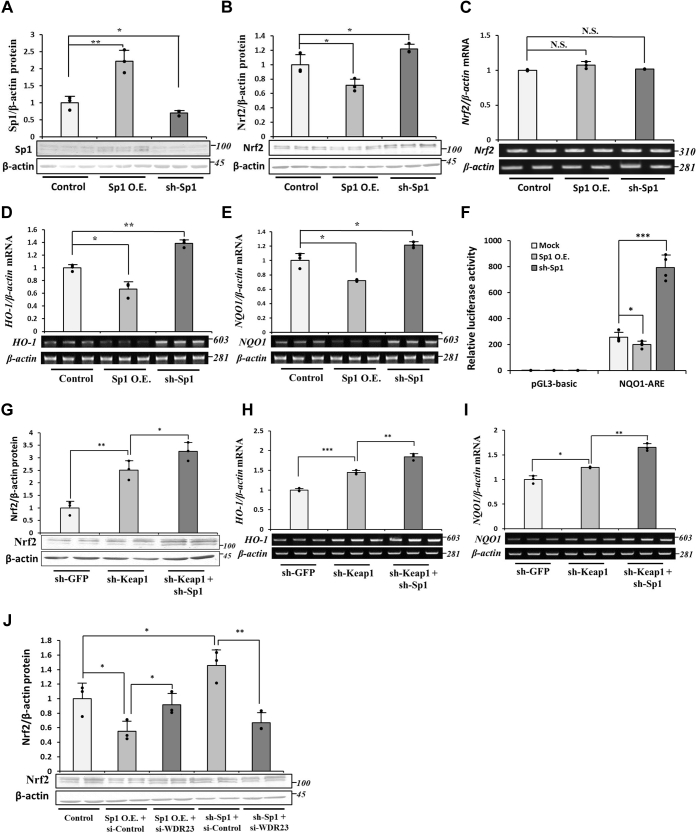 Figure 6