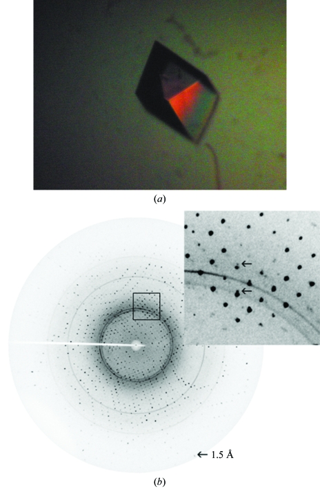 Figure 3