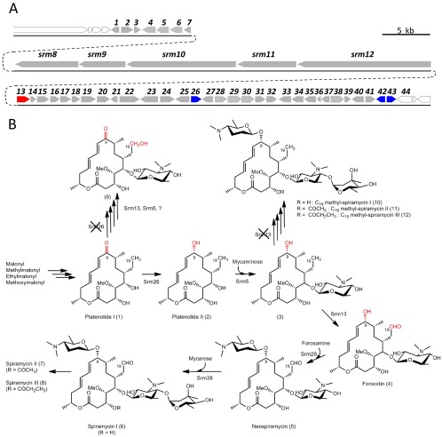 Fig 1