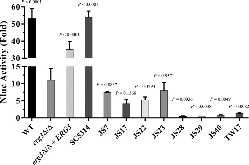 FIG 5