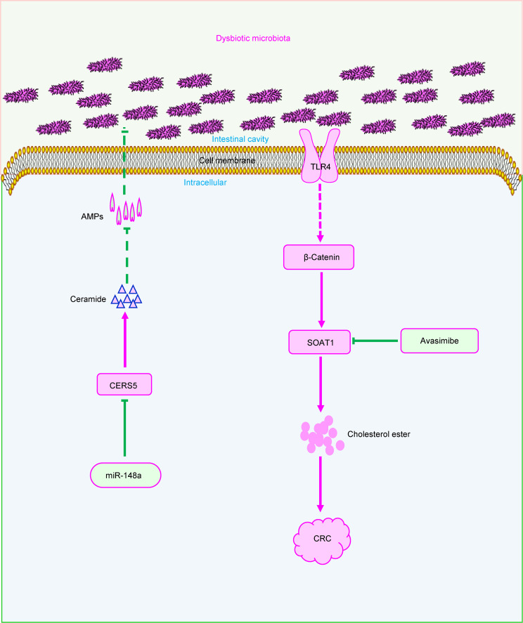 graphic file with name jciinsight-7-150607-g018.jpg