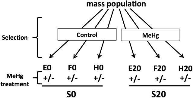 FIG. 5.