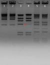 Figure 5