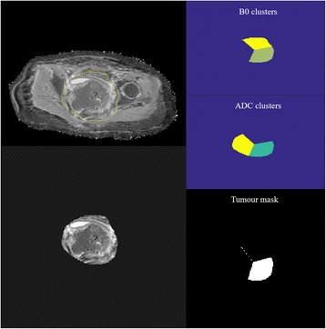 Fig. 2