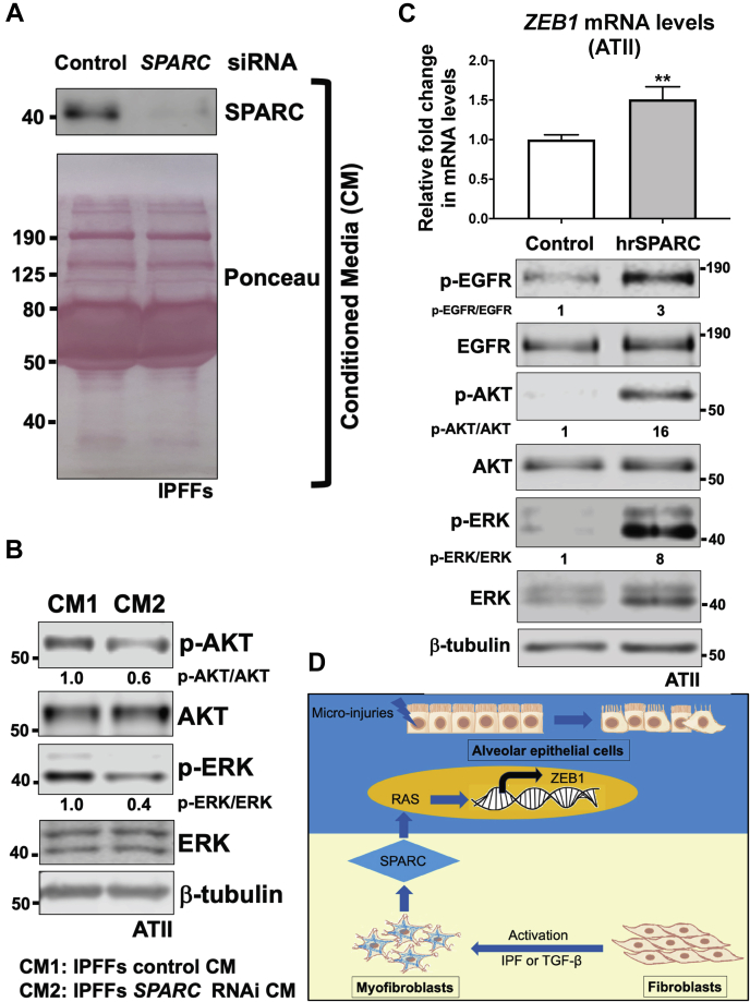 Figure 6