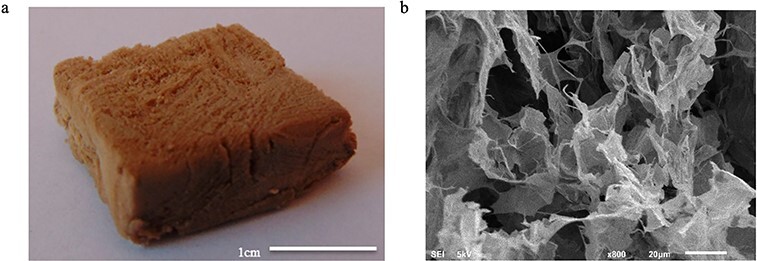 
Figure 10.
