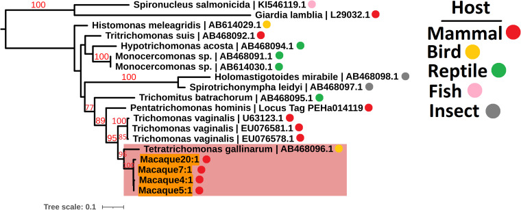 Fig. 2.