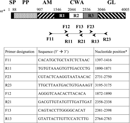 FIG. 1.