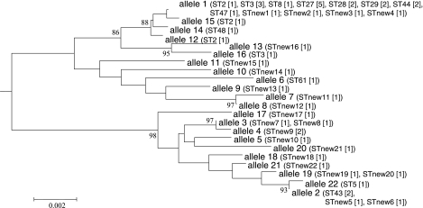 FIG. 2.