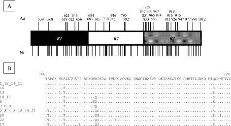 FIG. 3.