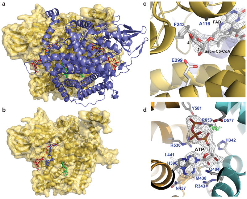 Figure 5