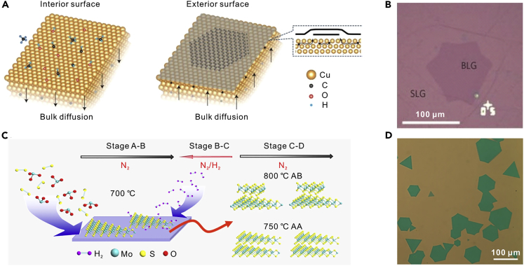 Figure 2