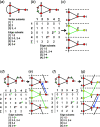 Figure 21