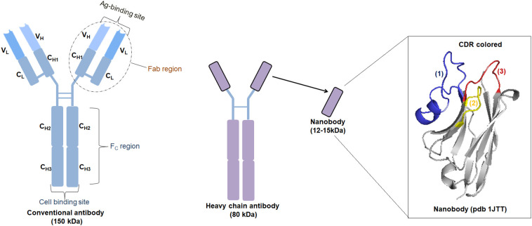 Fig. 2