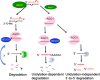 Fig. 2