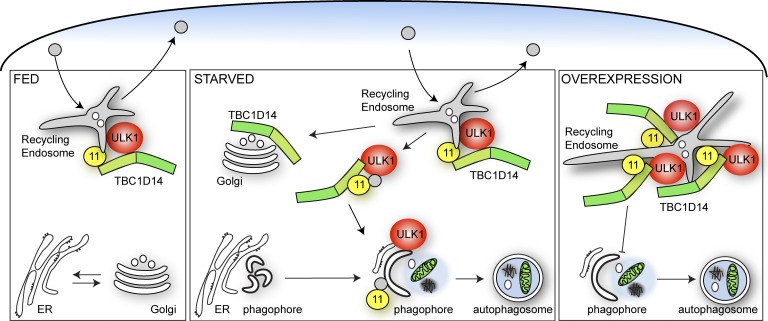 Figure 10.