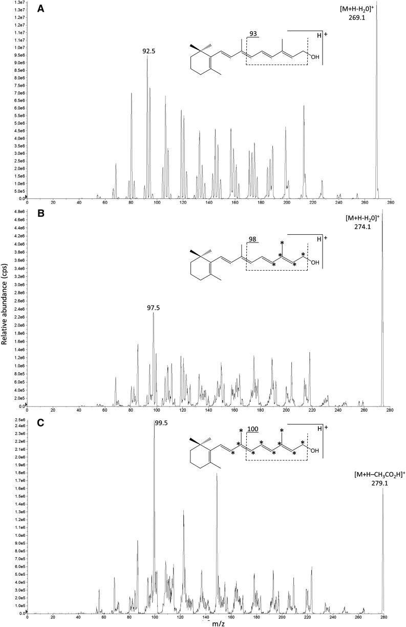 Fig. 2.