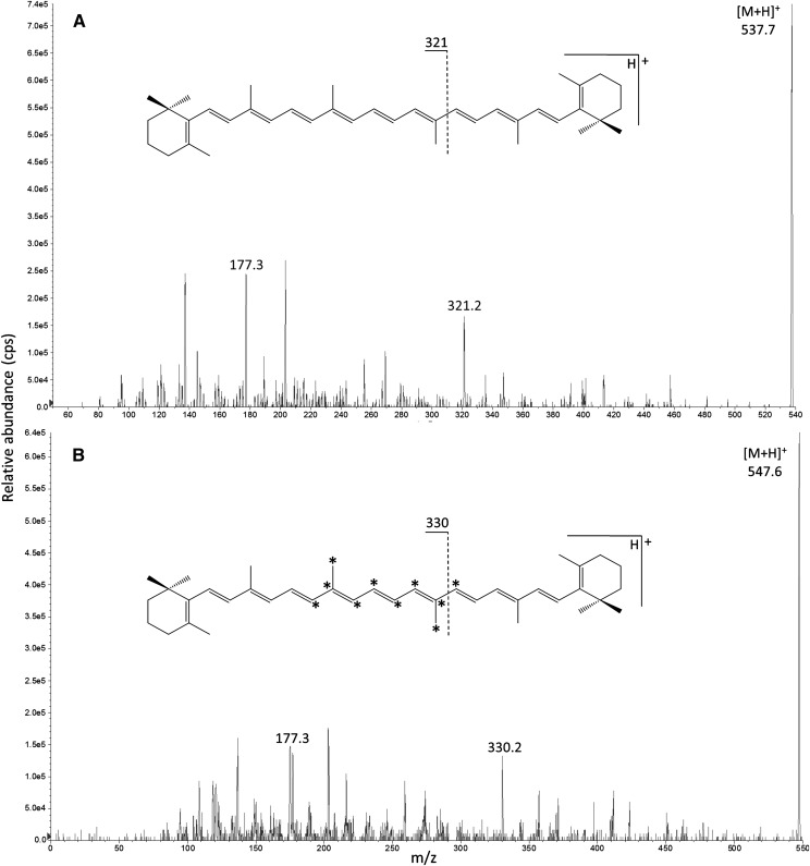 Fig. 3.