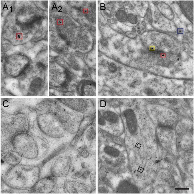 Fig. 2.