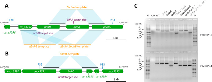 FIG 3