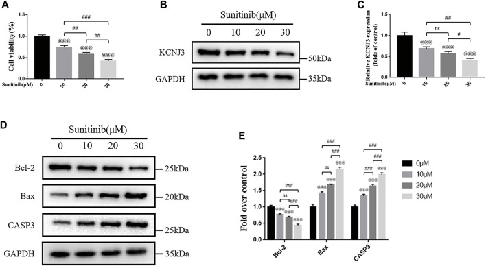 FIGURE 11