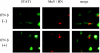 FIG. 3.