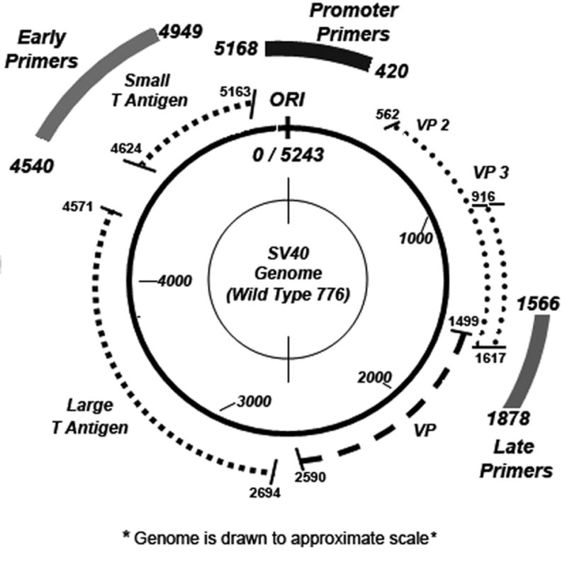 Figure 1A