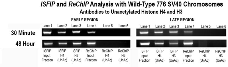 Figure 4B